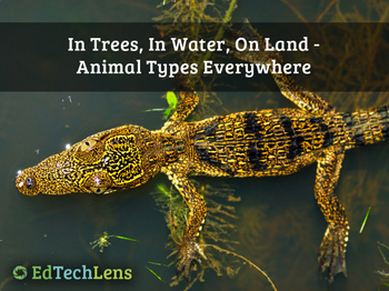 Preview of In Trees, In Water, On Land - Animal Biodiversity Unit eBook