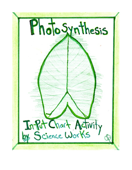 Preview of NGSS Pictorial Diagram Photosynthesis Lesson & Leaf Rubbing Activity