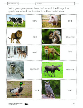 In the Animal Kingdom Lesson Plan Grade 1 by On The Mark Press | TPT