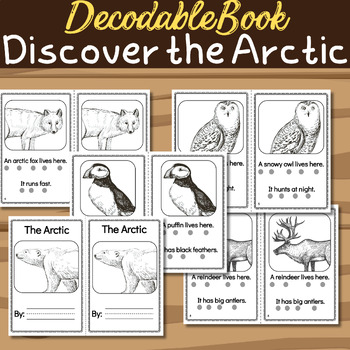 Preview of Discover the Arctic – Decodable Book for 2nd Grade
