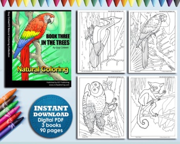 Download In The Trees Coloring Book Set 3 Books Instant Pdf Download By Ecp