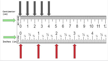 Preview of Inches versus Centimeters Visual