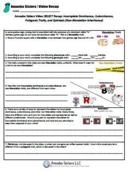 Incomplete Dom Codominance Select Recap Handout Answer Key By Amoeba Sisters