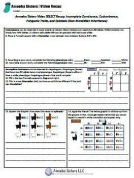 Incomplete Dom Codominance SELECT Recap Handout   Answer Key by