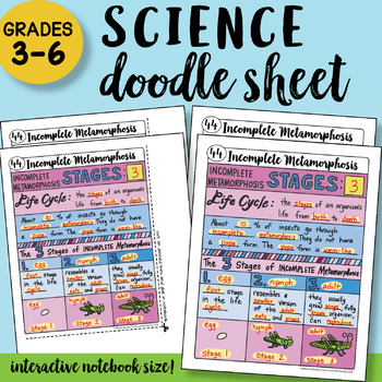 Preview of Incomplete Metamorphosis Doodle Sheet - So EASY to Use! PPT included
