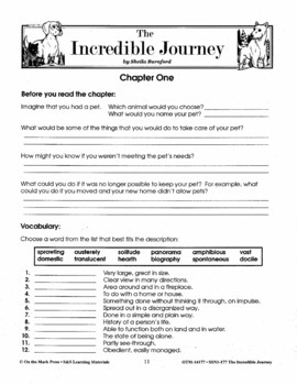 incredible journey skin answer key