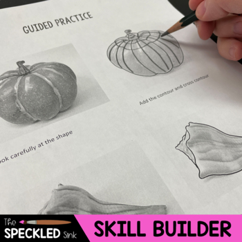 Preview of Cross Contour Line Drawing Skill Builder + Video. Independent Art Activity.