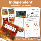 Independent Autumn Learning