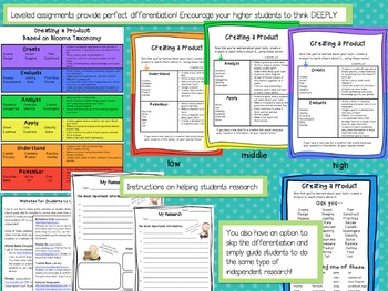 Independent Research- An Organized Approach to Resident Expert Projects