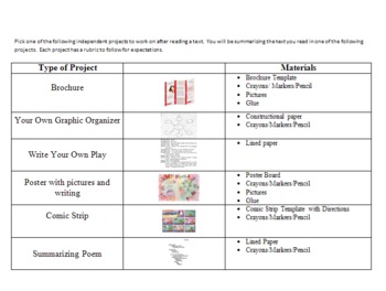 Preview of Independent Student Projects with Rubrics