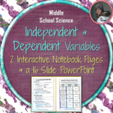 Independent and Dependent Variables Interactive Notebook P