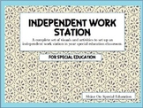 Independent Work Station for Special Education/Autism