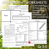 Independent Worksheets - Incoming 3rd Graders