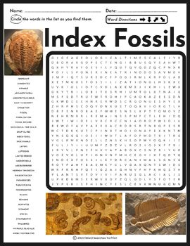 Preview of Index Fossils Word Search Puzzle