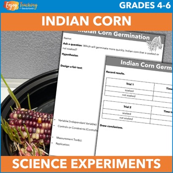 Preview of Indian Corn Lab Activities - Fun Science Experiments for Fall or Thanksgiving