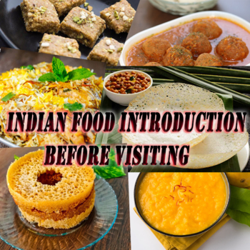 Preview of Indian Foods introduction before visiting