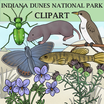 Preview of Indiana Dunes National Park Clipart - Plants and Animals of the National Parks