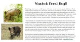 Invasive Species Wanted Poster (Indiana Version - but editable)
