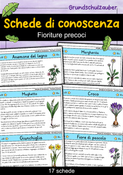 Preview of Indice delle schede di conoscenza - Fioriture precoci (italiano)