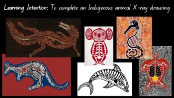 Preview of Indigenous Animal X-Ray Visual Art and Science Activity