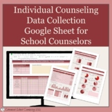 Individual Counseling Data Collection Spreadsheet for Scho