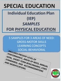 Special Education: Individual Education Plan Samples for P