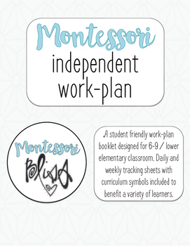 Preview of Individual Student Work-Plan