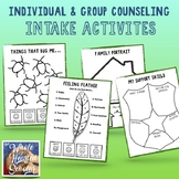 Individual and Group Counseling Intake Activities