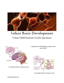 Preview of Infant Brain Development