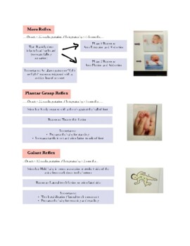 infant reflexes chart