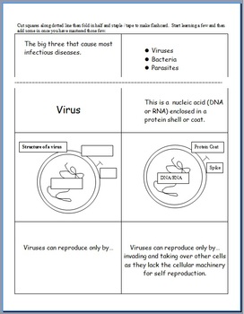 Preview of Infectious Diseases Unit Flash Cards, Virus, Bacteria, Parasites