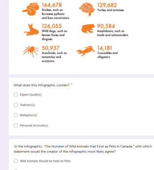 Preview of Infographic Literacy Mini Lesson *Google Form*