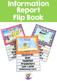 Information Report Flip Book
