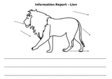 Information Report- Lion