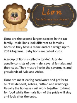 creative writing description of a lion