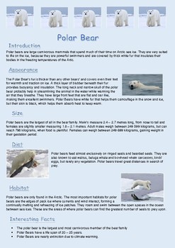 Preview of Information Report - Polar Bear