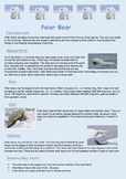 Information Report - Polar Bear