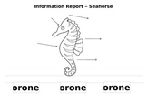 Information Report- Seahorse