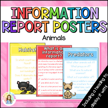 Information Report Text Posters for Animals by Teaching In Colour