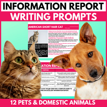 Preview of Information Report Writing Prompts | Domestic Pets | Informational Text