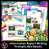 Information Report Writing Prompts | Mini Beasts, Bugs | E