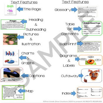 Nonfiction Text Feature Activities by First Grade Diva Creations