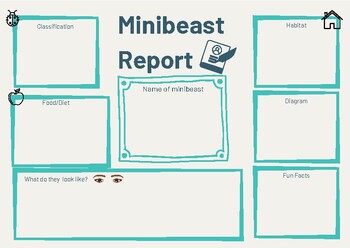 Preview of Information Writing Graphic Organiser : Minibeasts