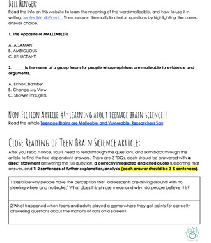 Preview of Informational Analysis Paragraph:"Teenage Brains are Malleable and Vulnerable" 