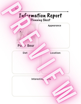 Preview of Polar Bear Informational Essay Planning Sheet
