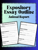Informational/Expository Essay Outline - Graphic Organizer