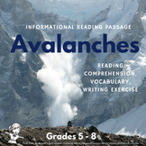 Winter Informational Reading Passage - Avalanches