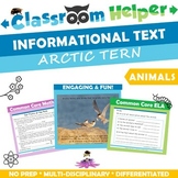 Informational Text About Arctic Terns