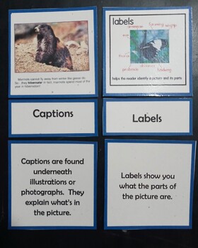 Preview of Informational Text Features 3-part cards