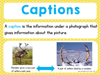 Informational Text Features Posters with Definitions & Examples | TpT